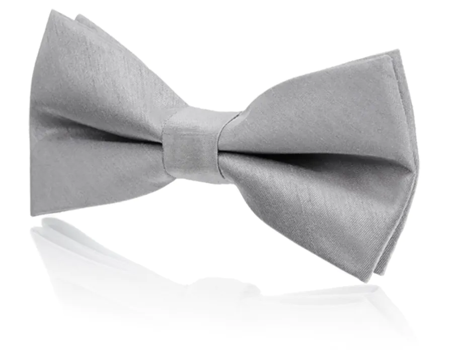Boys Pre-Tied Silver Dupion Bow Tie Boys Pre-Tied Silver Dupion Bow Tie