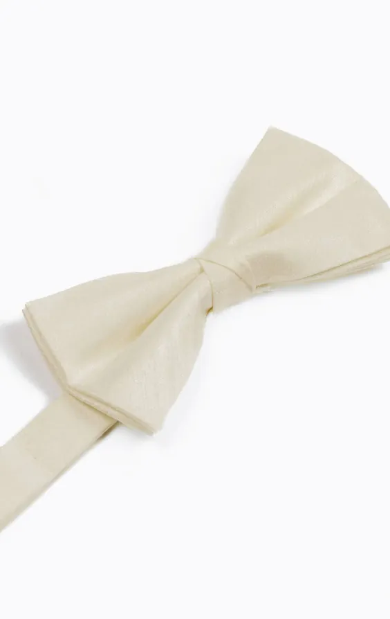 Big & Tall Ivory Dupion Bow Tie - photo 1 Big & Tall Ivory Dupion Bow Tie - photo 1