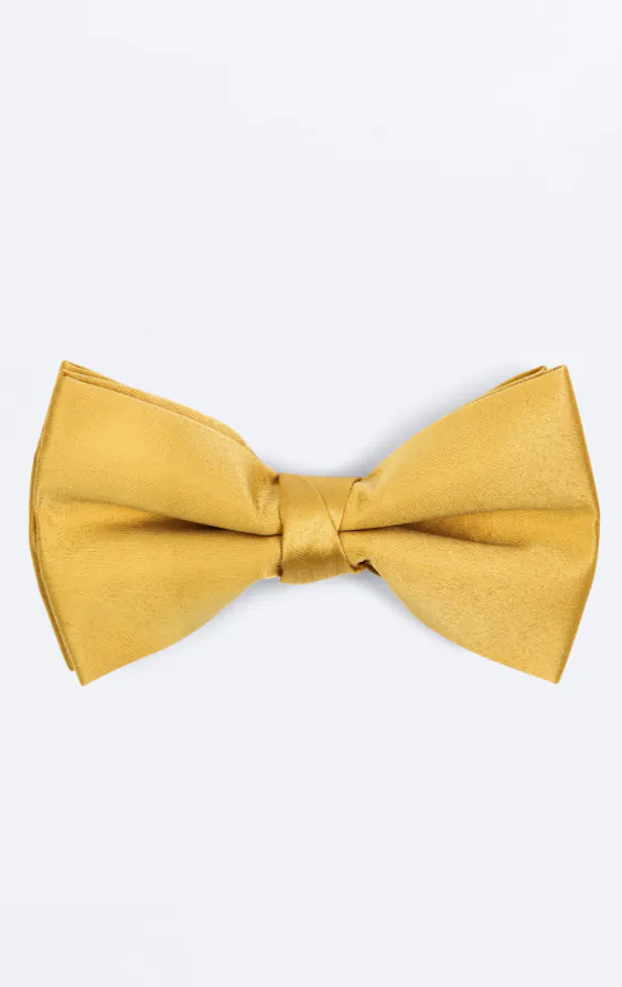 Pre-Tied Gold Bow Tie