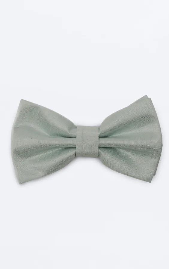 Light Green Dupion Bow Tie Light Green Dupion Bow Tie