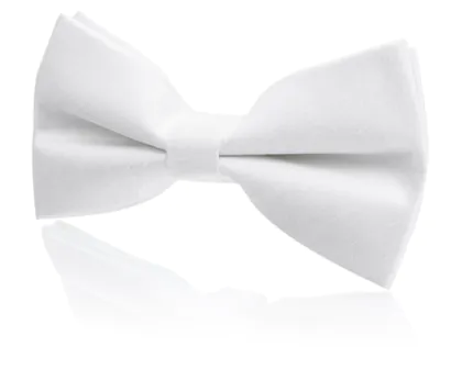 Boys Pre-Tied White Dupion Bow Tie