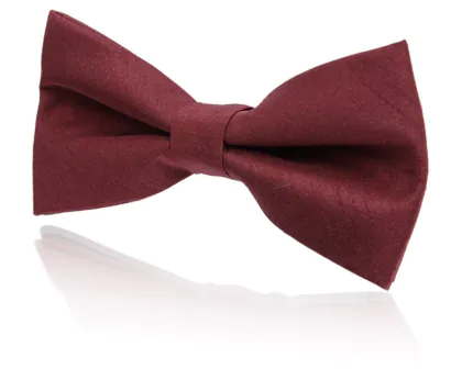 Boys Pre-Tied Burgundy Poly Dupion Bow Tie