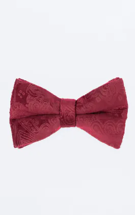Burgundy Paisley Velvet Bow Tie