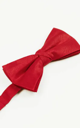 Crimson Red Dupion Bow Tie