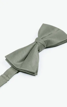 Silver Dupion Bow Tie