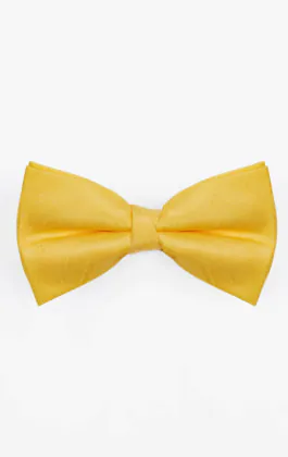 Yellow Dupion Bow Tie