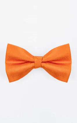 Orange Dupion Bow Tie