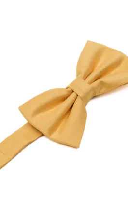 Dark Gold Dupion Bow Tie