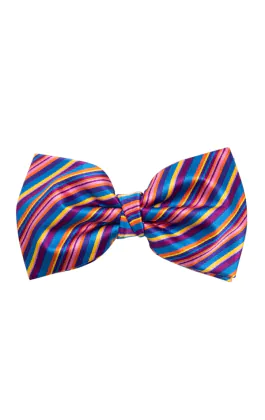 Rainbow Bow Tie