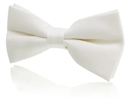 Boys Pre-Tied Ivory Poly Bow Tie