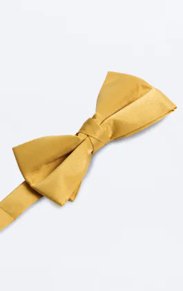 Pre-Tied Gold Bow Tie