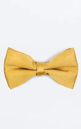 Pre-Tied Gold Bow Tie