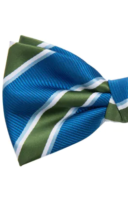 Green & Blue Striped Bow Tie