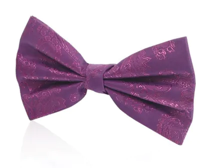 Boys Purple Paisley Bow Tie