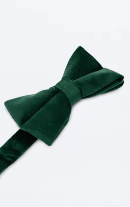 Dark Green Velvet Bow Tie