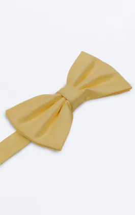 Pale Yellow Dupion Bow Tie