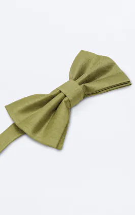 Green Dupion Bow Tie