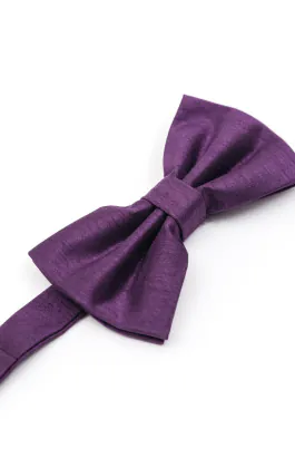 Dark Purple Dupion Bow Tie