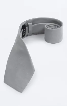 Silver Dupion Tie